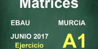 Ejercicio de Matrices - EBAU Murcia 2017 Junio Matemáticas Aplicadas CC.SS. A1